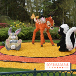 Base de données LaurentP