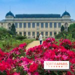 Base de données LaurentP