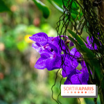 Base de données LaurentP