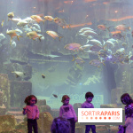 Les 60 ans de LEGO® à l'Aquarium de Paris