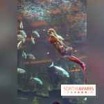 Les 60 ans de LEGO® à l'Aquarium de Paris