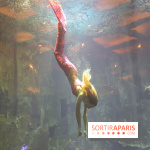 Les 60 ans de LEGO® à l'Aquarium de Paris