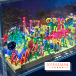 Les 60 ans de LEGO® à l'Aquarium de Paris