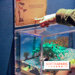 Les 60 ans de LEGO® à l'Aquarium de Paris