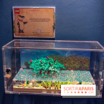 Les 60 ans de LEGO® à l'Aquarium de Paris