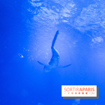 Les 60 ans de LEGO® à l'Aquarium de Paris