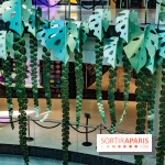 Exposition Monstera Dubia à Beaugrenelle