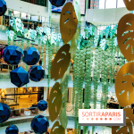 Exposition Monstera Dubia à Beaugrenelle