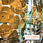 Exposition Monstera Dubia à Beaugrenelle