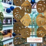 Exposition Monstera Dubia à Beaugrenelle