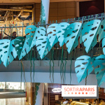 Exposition Monstera Dubia à Beaugrenelle