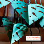 Exposition Monstera Dubia à Beaugrenelle