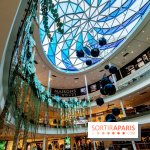 Exposition Monstera Dubia à Beaugrenelle