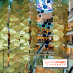 Exposition Monstera Dubia à Beaugrenelle