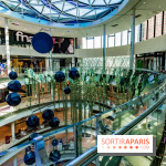 Exposition Monstera Dubia à Beaugrenelle