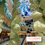 Exposition Monstera Dubia à Beaugrenelle