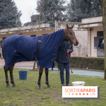 Les Dimanches au Galop 2018