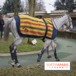 Les Dimanches au Galop 2018