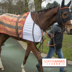 Les Dimanches au Galop 2018