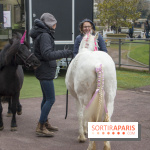 Les Dimanches au Galop 2018