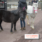 Les Dimanches au Galop 2018