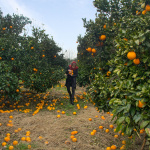 Circulation(s) 2018, festival photographique au 104