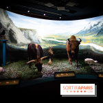 Exposition Néanderthal au Musée de l'Homme