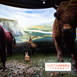 Exposition Néanderthal au Musée de l'Homme