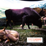 Exposition Néanderthal au Musée de l'Homme