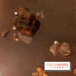 Exposition Néanderthal au Musée de l'Homme