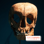 Exposition Néanderthal au Musée de l'Homme