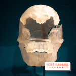 Exposition Néanderthal au Musée de l'Homme