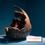 Exposition Néanderthal au Musée de l'Homme