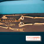 Exposition Néanderthal au Musée de l'Homme