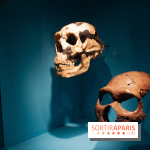 Exposition Néanderthal au Musée de l'Homme