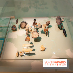 Exposition Néanderthal au Musée de l'Homme