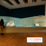 Exposition Néanderthal au Musée de l'Homme