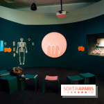 Exposition Néanderthal au Musée de l'Homme