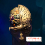 Exposition Néanderthal au Musée de l'Homme