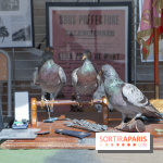 Week-end de reconstitution historique au Musée de la Grande Guerre : les photos
