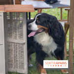 Week-end de reconstitution historique au Musée de la Grande Guerre : les photos