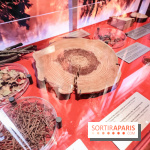 Exposition Feu à la Cité des Sciences