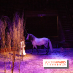 Nature, le spectacle équestre à Chantilly