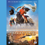Les Aigles des Remparts de Provins, les photos