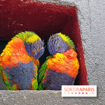 Zoo de Thoiry 2018 : les photos