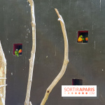 Zoo de Thoiry 2018 : les photos