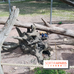 Zoo de Thoiry 2018 : les photos