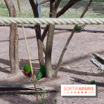 Zoo de Thoiry 2018 : les photos