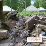 Zoo de Thoiry 2018 : les photos