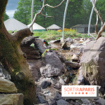 Zoo de Thoiry 2018 : les photos